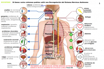 tratamiento de disfunción del sistema nervioso autónomo: simpático y parasimpático. Tratamiento del nervio vago en Madrid mediante medición de la variabilidad de frecuencia cardiaca del paciente